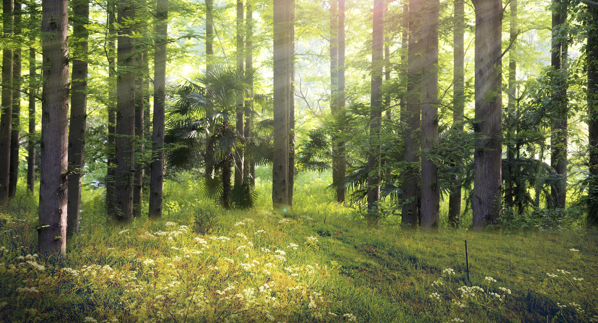 伸缩缝养护项目